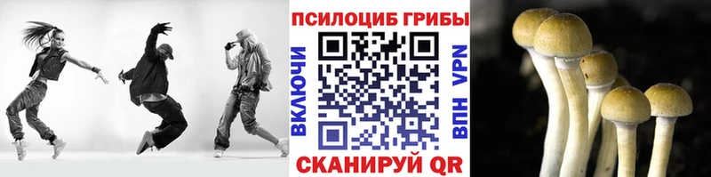 что такое   Нижнекамск  Псилоцибиновые грибы Psilocybine cubensis 